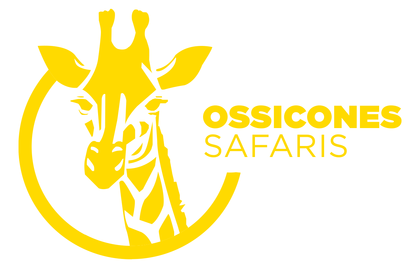 Ossicones Safaris Uganda Logo