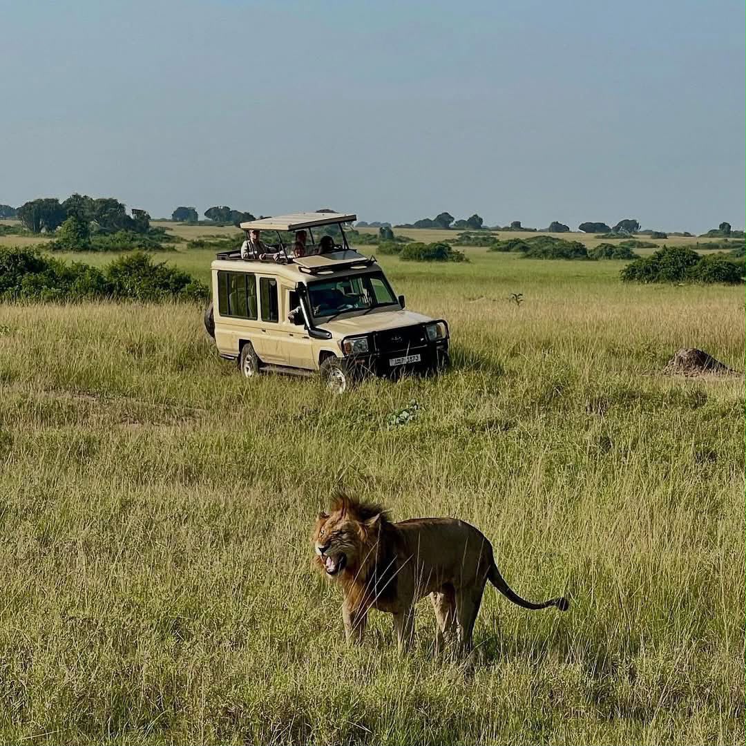 What to Expect on your Uganda Safari Holiday.