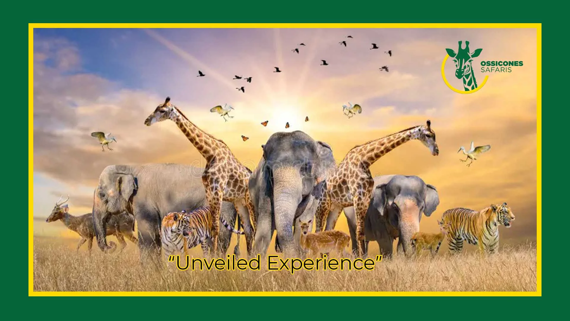 Why Choose Ossicones Safaris for Affordable Travel?