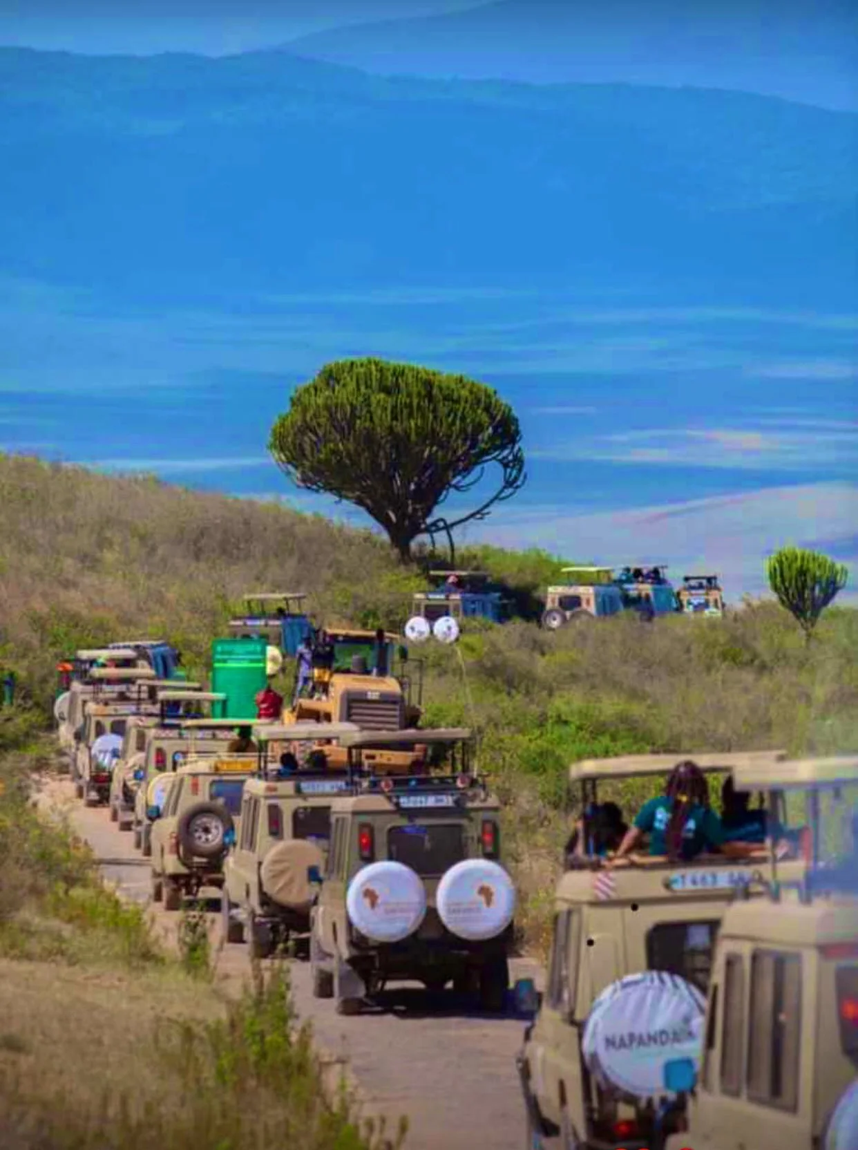 10-Reasons why you need a Safari Tour Operator for your Safari in Uganda