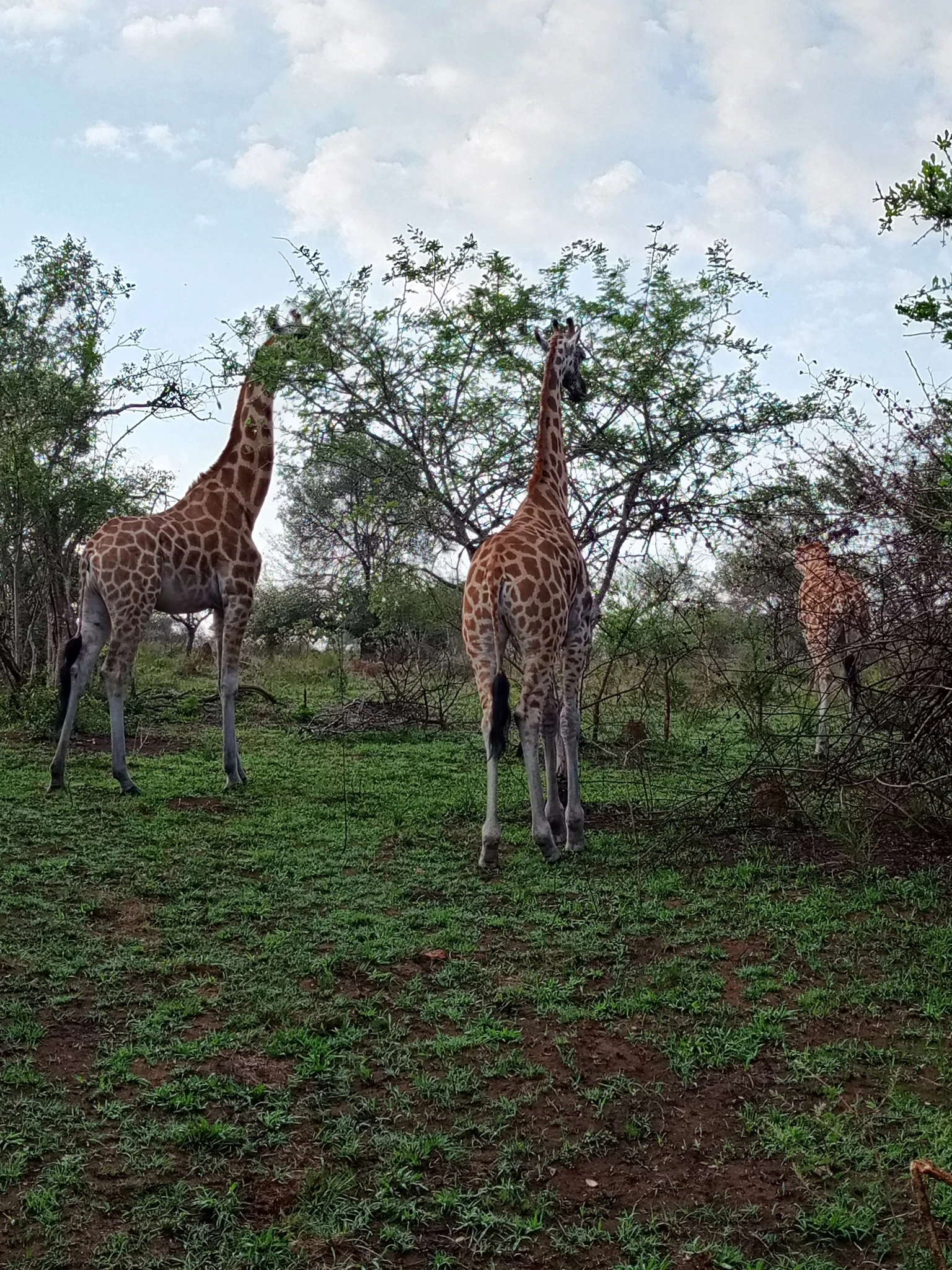 3 DAYS HOLIDAY IN THE WHISPERS OF THE WILD ''LAKE MBURO NATIONAL PARK'' 3 DAYS HOLIDAY IN THE WHISPERS OF THE WILD ''LAKE MBURO NATIONAL PARK''