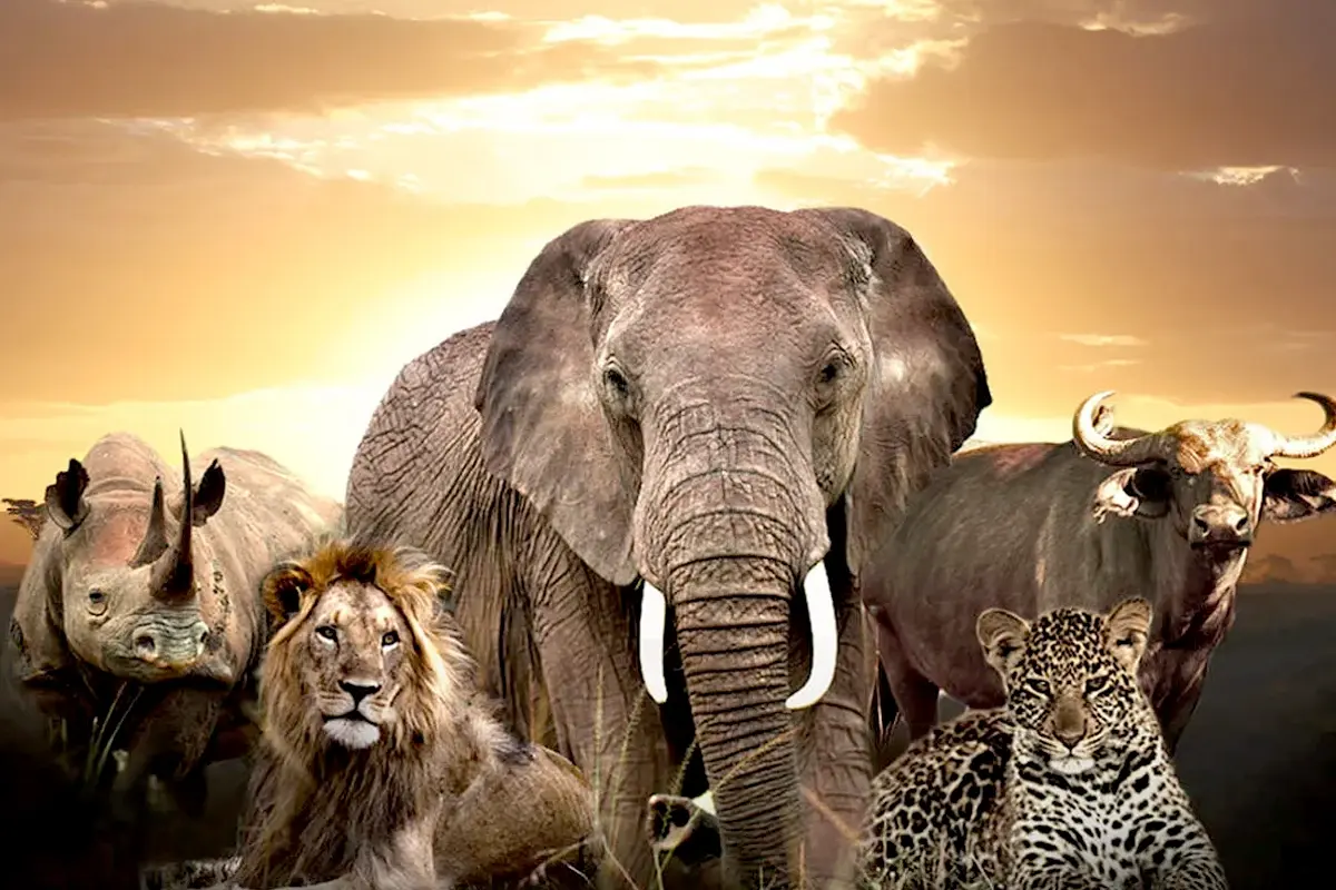 3-Day Luxury Queen Elizabeth National Park Safari (5–10 People)
