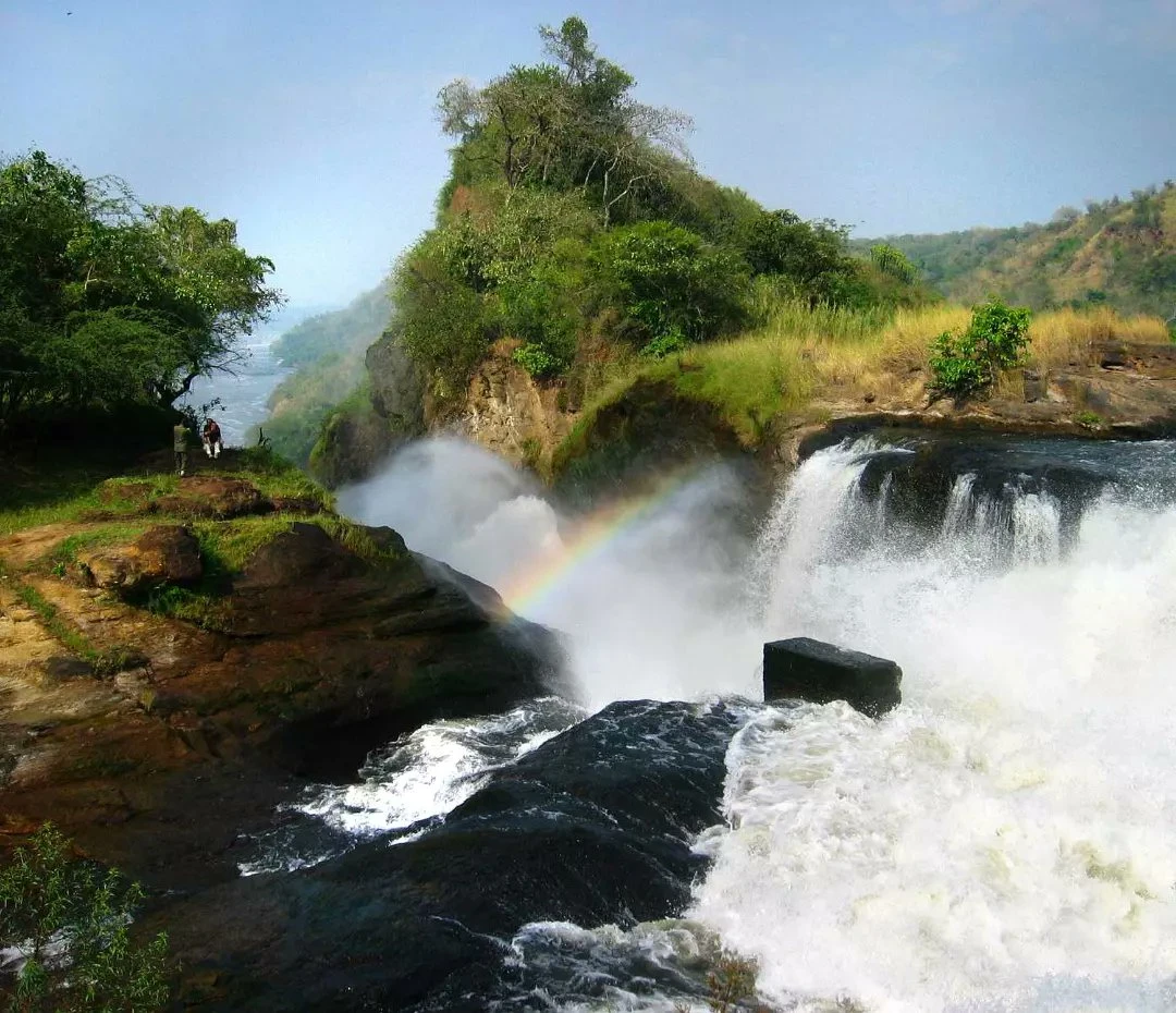 3-Days Big5 Safari In Murchison Falls National Park 3-Days Big5 Safari In Murchison Falls National Park