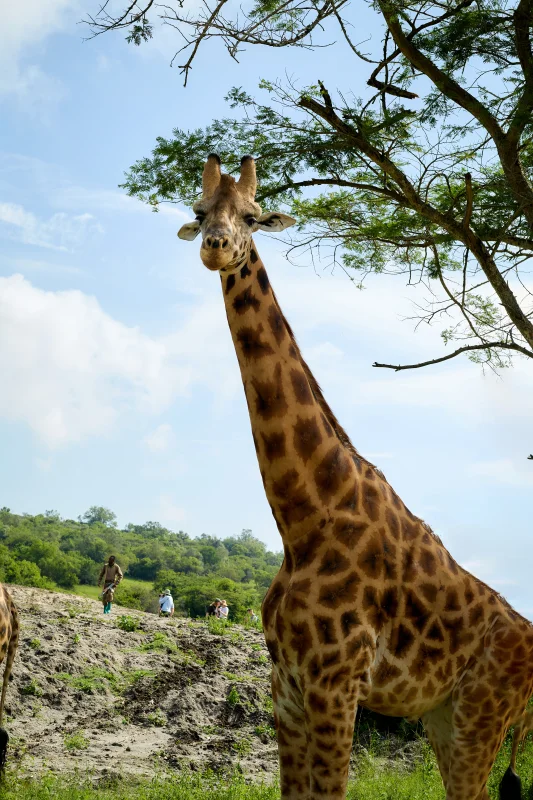Lake Mburo National Park