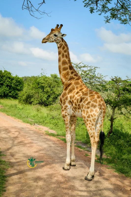 Lake Mburo National Park